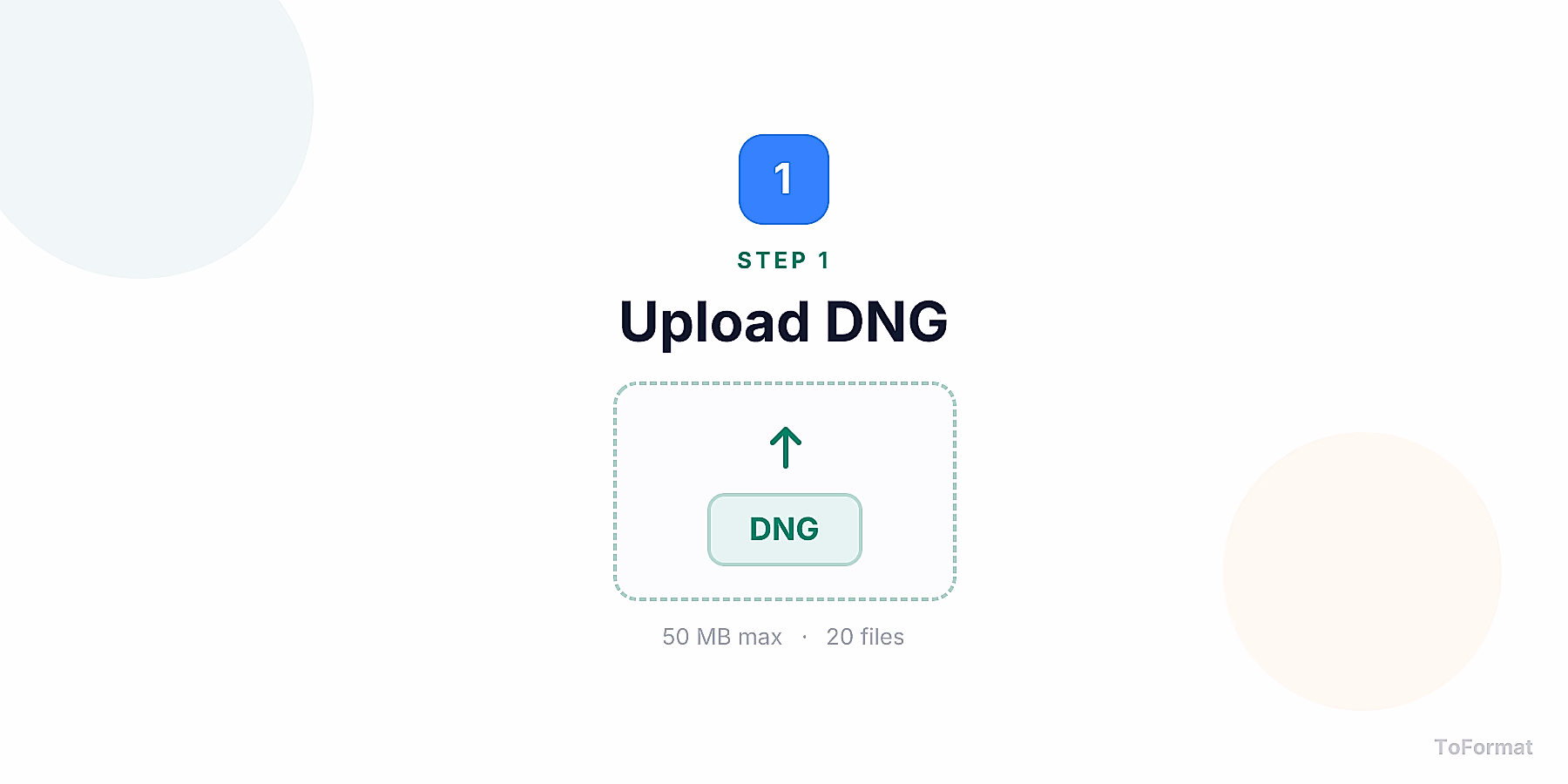 Step 1 — uploading DNG file for DNG to JPG conversion on ToFormat